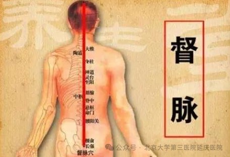 图片4.jpg 图片4.jpg