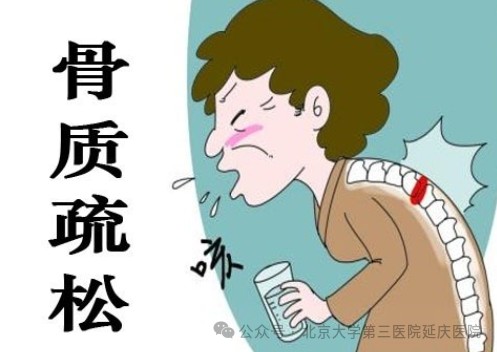 图片6.jpg 图片6.jpg