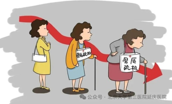 图片7.jpg 图片7.jpg