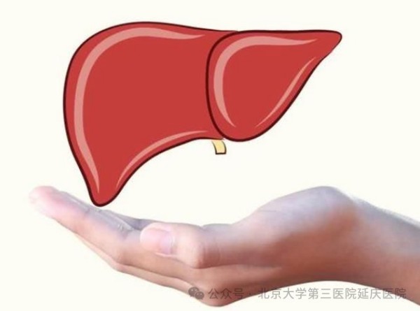 图片14.jpg 图片14.jpg