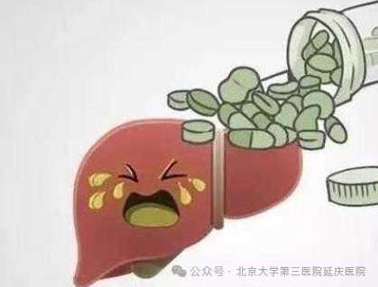 图片15.jpg 图片15.jpg