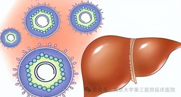 图片17.jpg 图片17.jpg